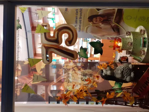 Esra Hörnig, Löwen-City Apotheke in Barleben